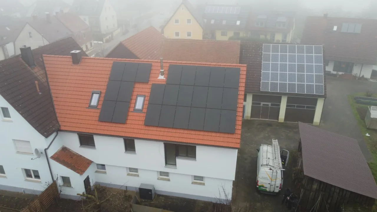 Vogel1